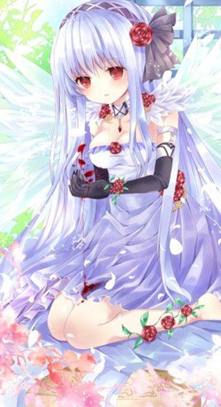 DNF魔法师是女生？二次元裙子叫萝莉？